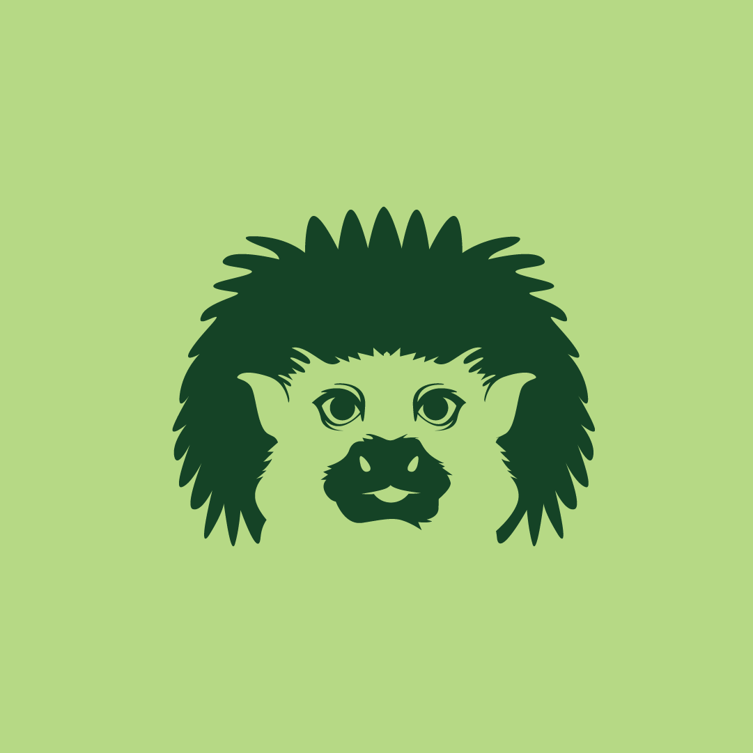 Experiencias y Destinos